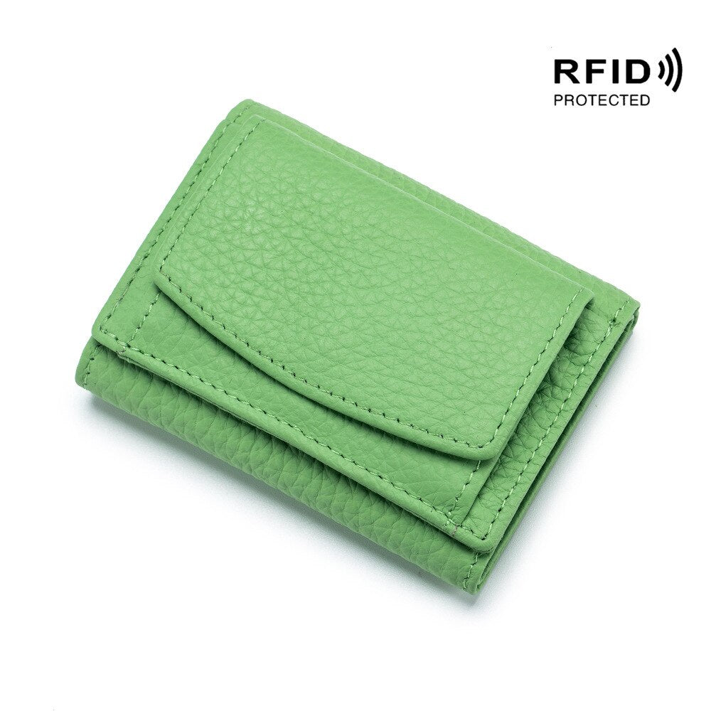 RDIF odinė piniginė