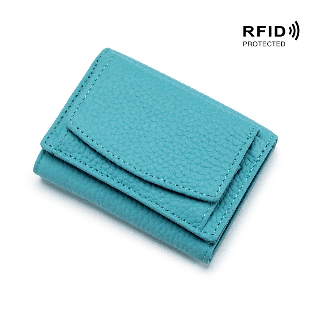 RDIF odinė piniginė