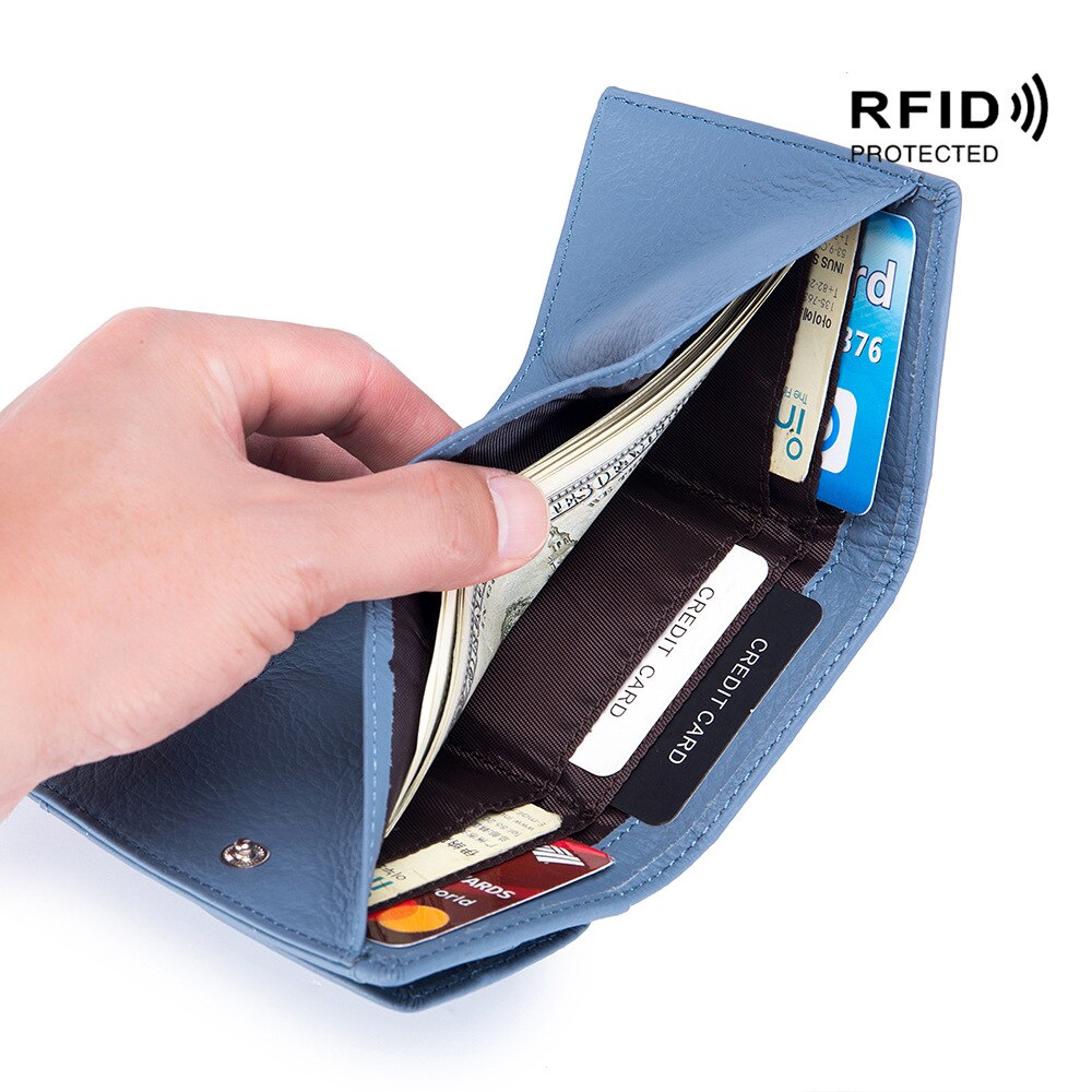 RDIF odinė piniginė