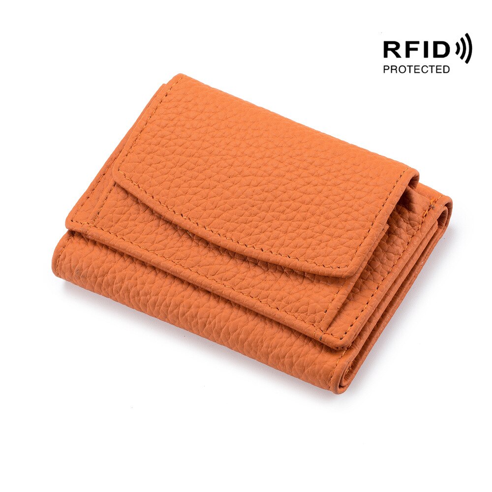 RDIF odinė piniginė