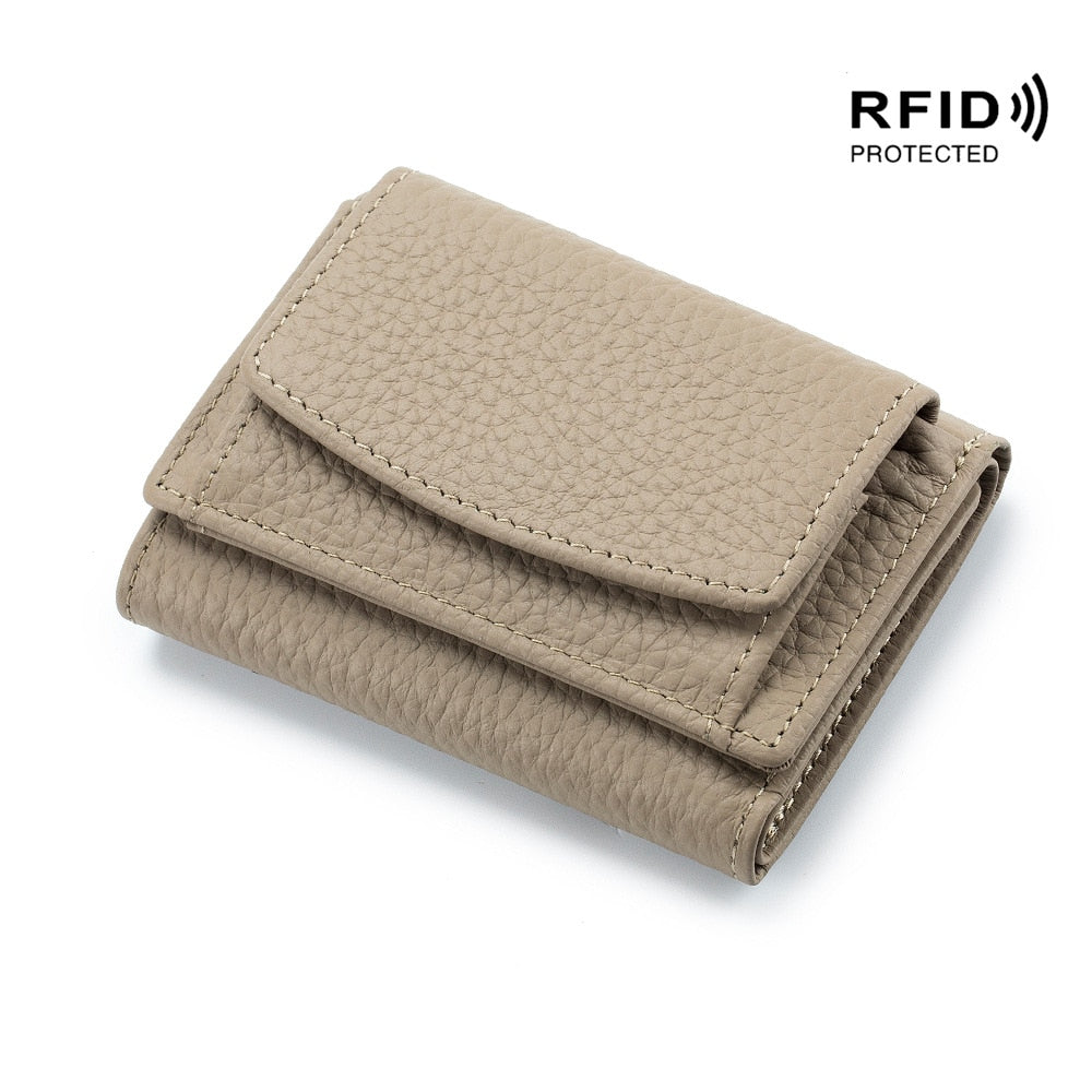 RDIF odinė piniginė