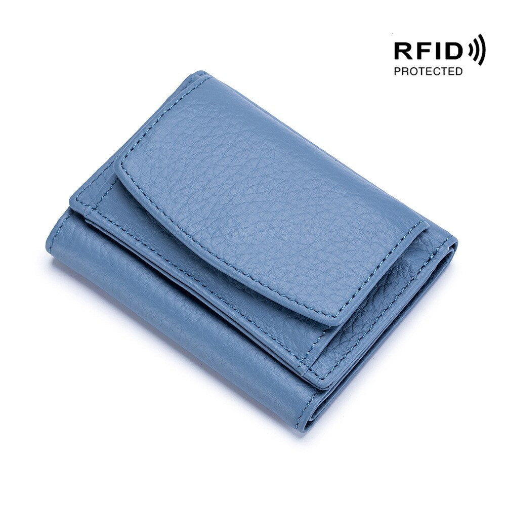 RDIF odinė piniginė