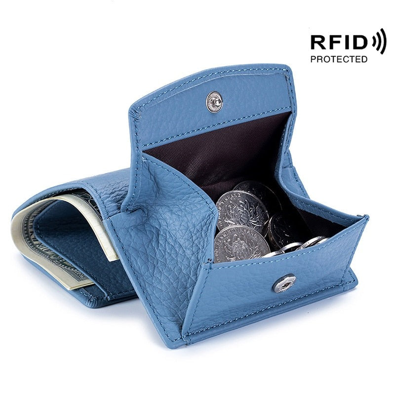 RDIF odinė piniginė